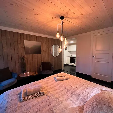 Apartment Voss-oppheim Pool&sauna Voss&flom - L1